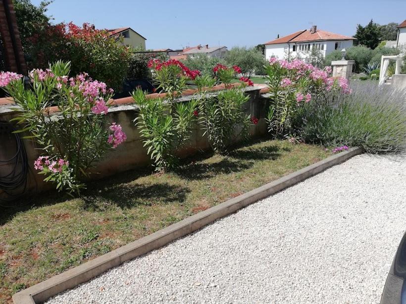 Apartments Oleander Lovrecica-Residence With Pool Exterior foto